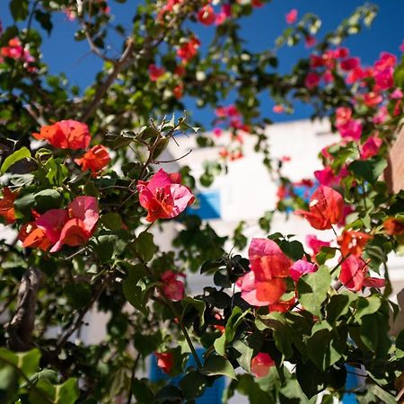 Casa Vacanze 21 Aprile - T กาลาเซตตา ภายนอก รูปภาพ